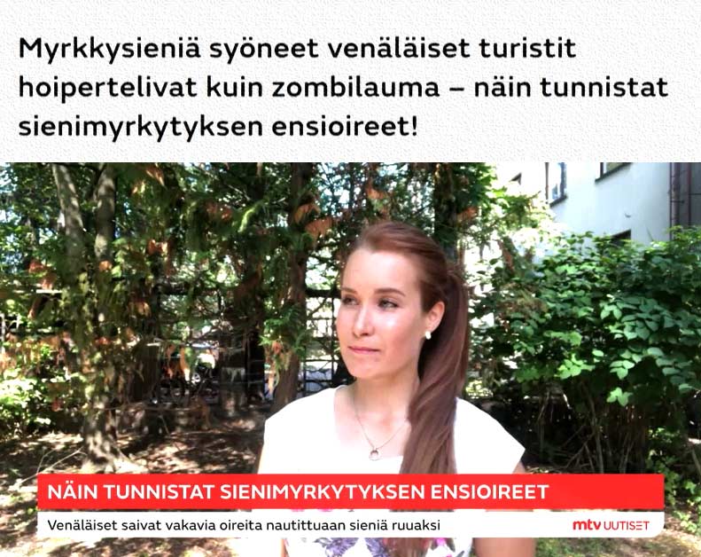 Kärpässieni uutinen